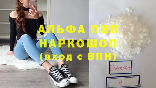 прущие грибы Балахна