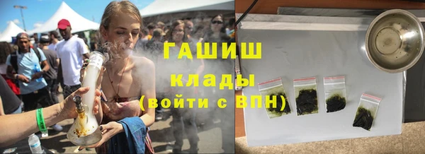 прущие грибы Балахна