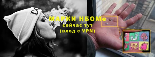 прущие грибы Балахна