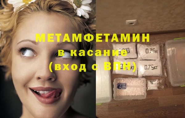 прущие грибы Балахна