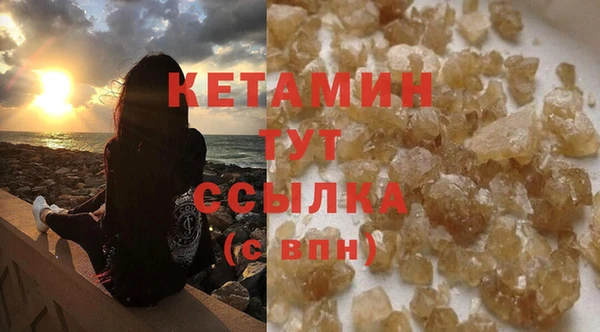 прущие грибы Балахна